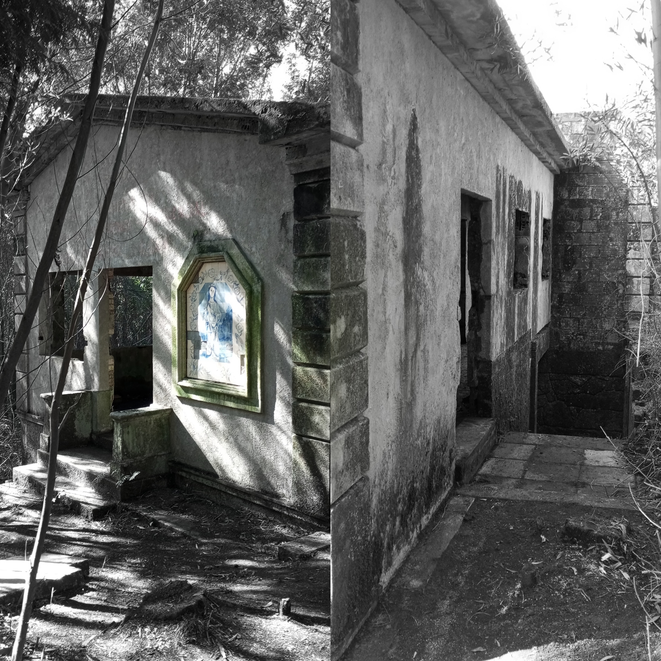 Galeria 06